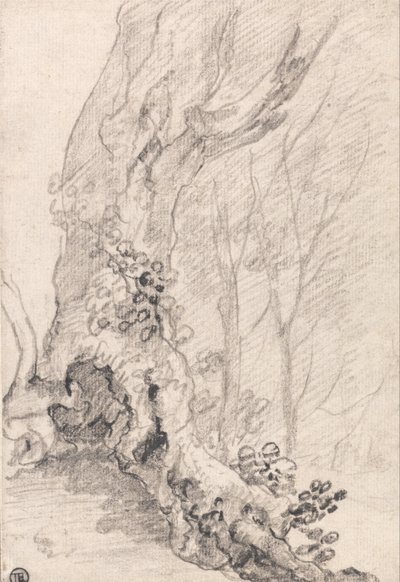 Study of an Old Tree-Trunk and Creeper-Covered Roots by Richard Wilson